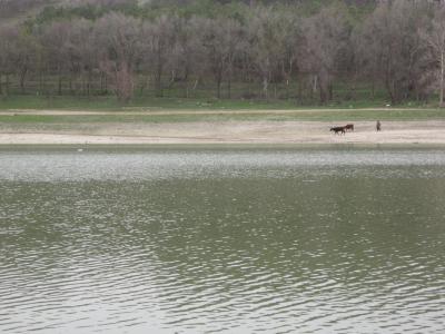 Прикрепленное изображение: IMG_0652.JPG